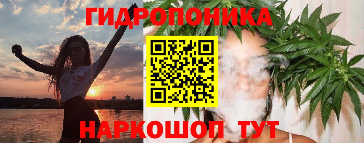Будённовск  Шишки марихуана OG Kush  Вход с VPN  Каннабис гибрид  Бошки марихуана конопля 